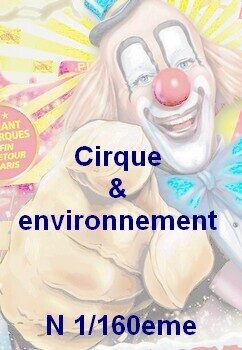 Cirque & environnement N 1/160eme