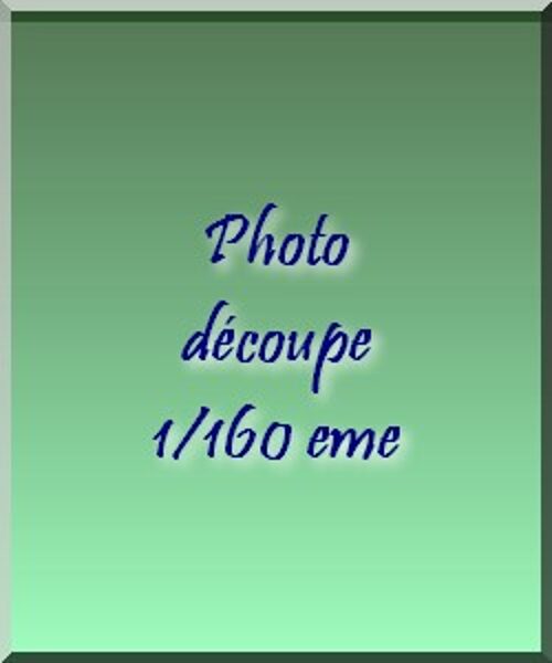Photo-découpes 1/160eme