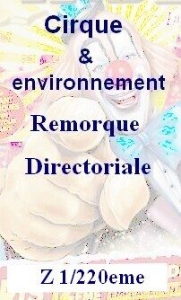 Remorque directoriale Z 1/220eme