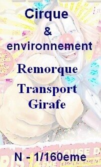 Remarque transport Girafe N 1/160