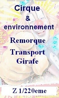 Remarque transport Girafe 1/220eme
