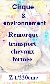 Remorque chevaux fermée Z 1/220eme