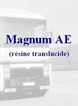 Renault Magnum Résine translucide N 1/160eme