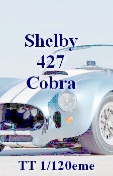 Shelby Cobra 427 TT 1/120eme