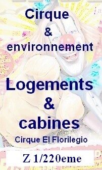 Verdine Logement & cabine Z 1/220eme